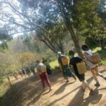 Chiang Mai Private Tour with Tea Plantation, Karen Village, Doi Suthep - Who Should Book This Tour?