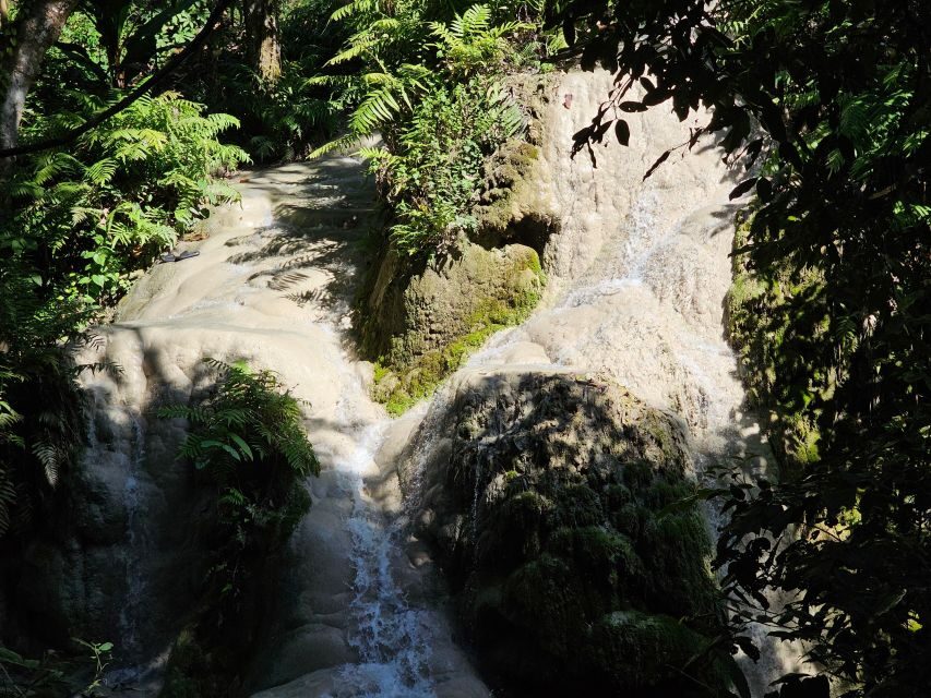 Chiang Mai: Sticky Waterfall Half-Day Tour & Hotel Transfers - The Itinerary Breakdown