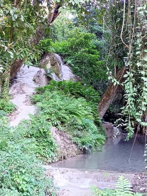 Chiang Mai: Sticky Waterfall Half day tour - Final Thoughts