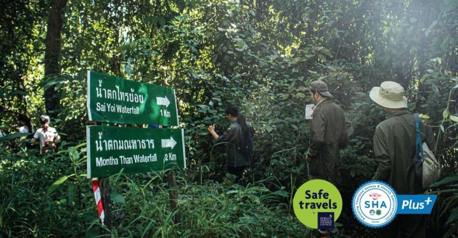 Chiang Mai Trek: Doi Suthep Area w/ Market and Temple Visit - A Day in Chiang Mai’s Doi Suthep: What to Expect