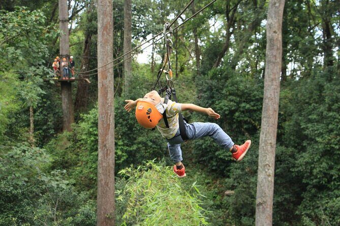 Chiang Mai Zip Line Experience - Who Should Consider This Tour?