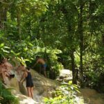Chiang Mai:Sticky Waterfall Adventure and Bua Tong Huge Cave Tour - Who Will Love This Tour?