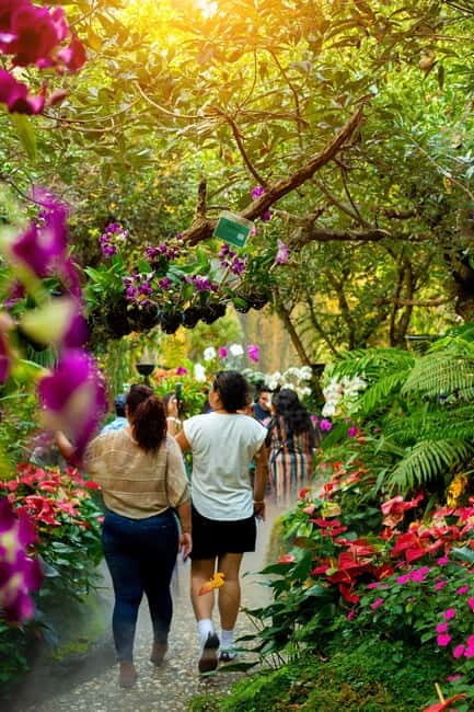 Chiang Rai: 3 Temples, Long Neck Village & Lalitta Café - The Day’s Flow and Practicalities