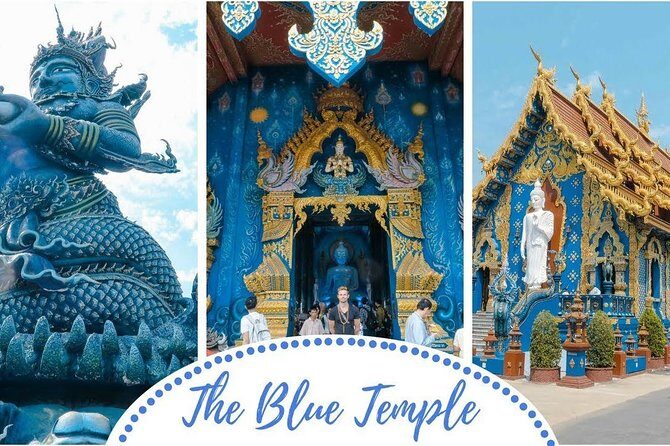 Chiang Rai food & night market walking tour with local host - Who Will Love This Tour?