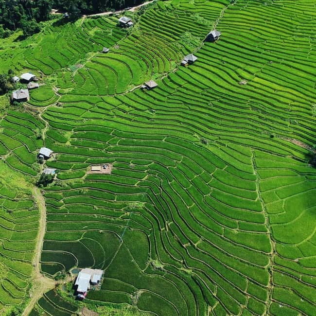 Chiangmai : Doi Inthanon unseen spot , Rice terrace & temple - What This Tour Means for You