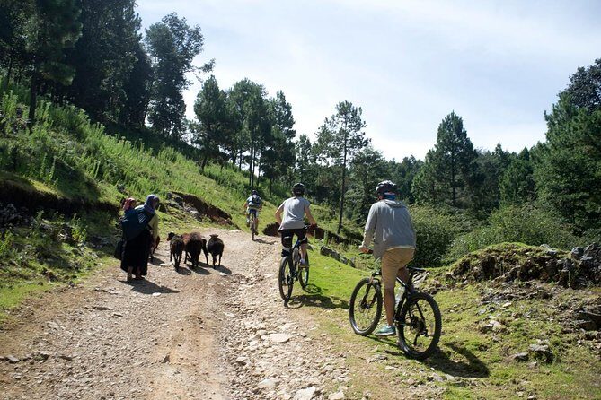 Chiapas Indigenous Villages and Mountain Bike Tour - Final Thoughts