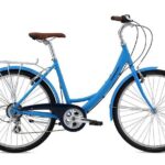 Chicago Full Day Bike Rental - Practical Details and Tips