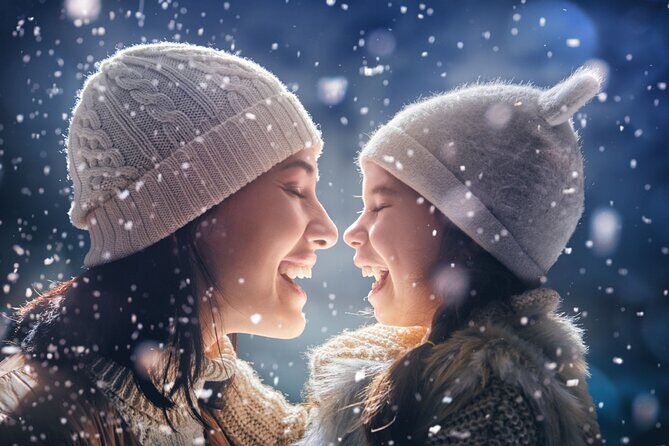 Chicagos Festive Lights: A Magical Christmas Journey - The Sum Up: Who Should Consider This Tour?