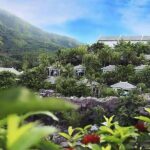 Chilling Day Tour with Than Tai Hot Spring Park from Da Nang - Detailed Review of the Than Tai Hot Spring Park Day Tour