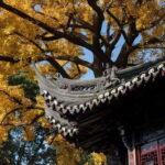 China Hollywood and Yiwu-the offline Temu commercial heaven - What Makes This Tour Stand Out