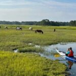 Chincoteague Kayak Rentals around Assateague Island - Who Is This Tour Best For?
