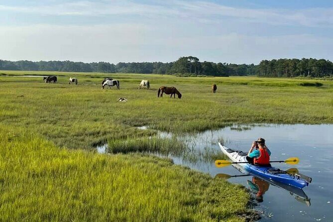 Chincoteague Kayak Rentals around Assateague Island - Who Is This Tour Best For?