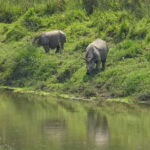 Chitwan: Full-Day Safari Canoeing and Jungle Walk and Jeep - A Detailed Look at the Chitwan Safari Experience