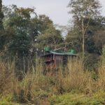 Chitwan: jungle One Night Towerstay in chitwan national park - An Honest Look at the Jungle Tower Stay Experience