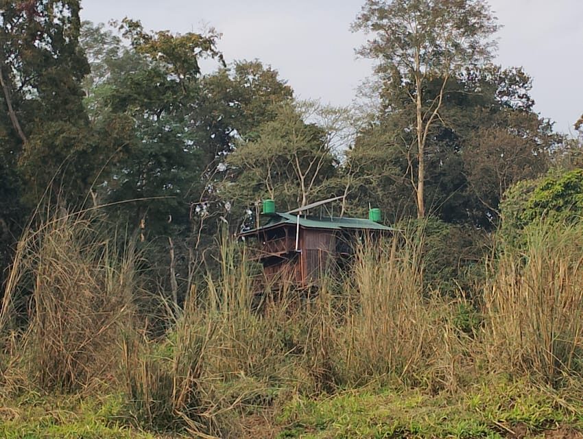 Chitwan: jungle One Night Towerstay in chitwan national park - An Honest Look at the Jungle Tower Stay Experience