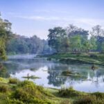 Chitwan Jungle Safari Tour: 3-Day Chitwan National Park Tour - Exploring the Chitwan Jungle Safari in Detail
