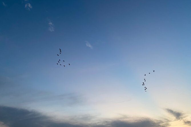 Chitwan Jungle Safari Tour - Why Choose This Tour?