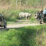 Chitwan National Park Tour - The Experience in Context: Benefits & Limitations