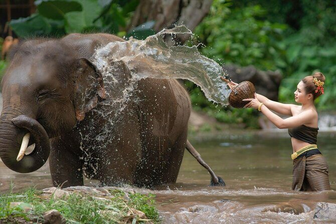 Chitwan National Park Tour - Final Thoughts: Is This Tour Right for You?