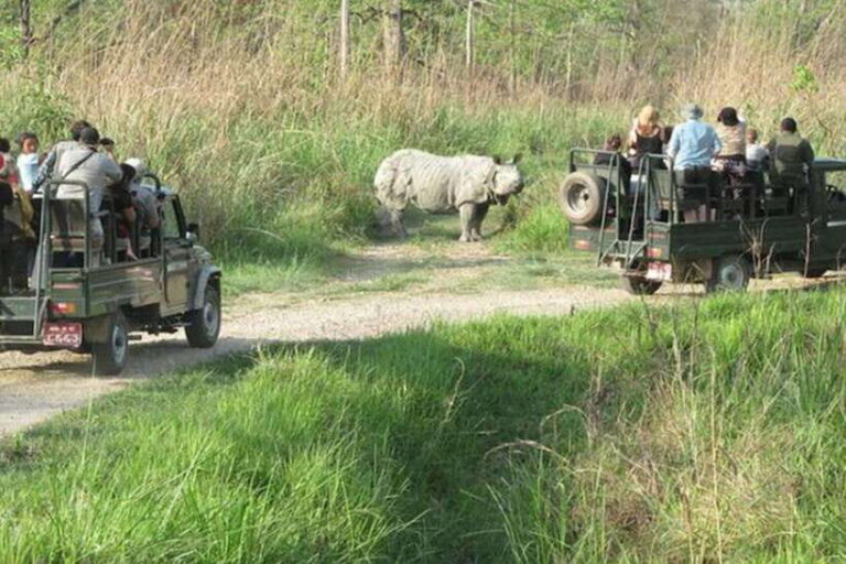 Chitwan National Park Tour - The Experience in Context: Benefits & Limitations