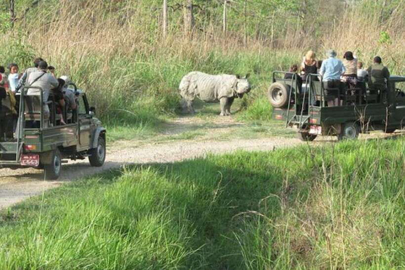 Chitwan National Park Tour - The Experience in Context: Benefits & Limitations