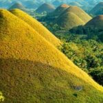 Chocolate hills tour with Tarsier & Loboc river Buffet Lunch (half-day tour) - The Practical Side