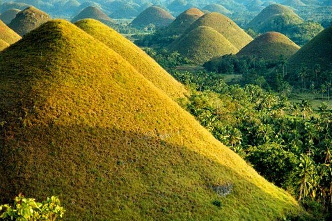 Chocolate hills tour with Tarsier & Loboc river Buffet Lunch (half-day tour) - The Practical Side