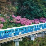 Chongqing: City Walking Private Tour (Guided in Spanish) - Frequently Asked Questions