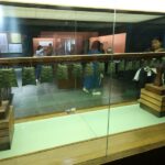 Chongqing: One-Day Extravaganza: Hit All the Must-See Spots! - A Deep Dive into Chongqing’s Highlights