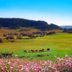 Chongqing:One-day Wulong HikeTrip(GeoPark+Fairy Mt)car incld - Discovering Wulong: A Journey into Chinas Geological Marvels