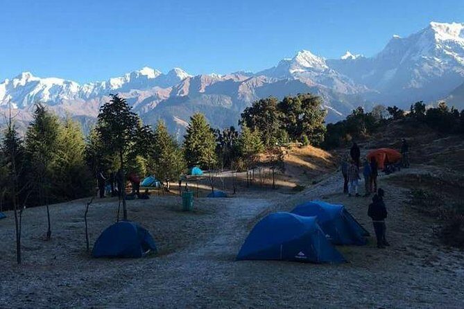 Chopta Trek - Why Choose the Chopta Trek?
