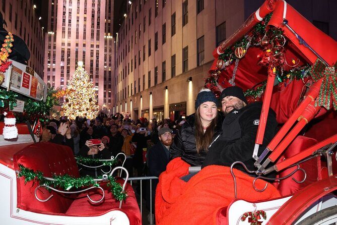 Christmas Light Private Carriage Ride New York City - Authentic Perspectives from Travelers