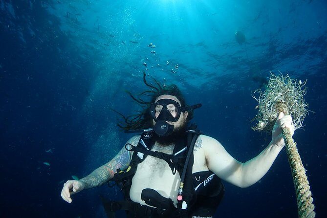 Chumphon Pinnacle-Koh Tao 2 dive trip for certified divers - An In-Depth Look at the Koh Samui Dive Experience