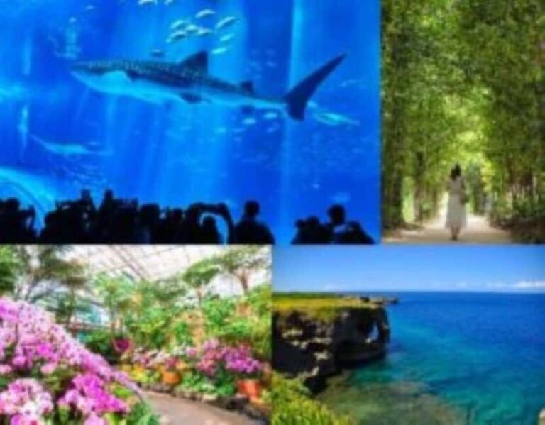 Churaumi Aquarium, Cape Manzamo, American Village - Understanding the Value: Is This Tour Right for You?