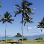 Circle Island Tour: Exclusively for Couples & Honeymooners - What This Tour Means for You