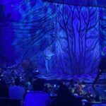 Cirque du Soleil JOYÀ in Vidanta Riviera Maya - Summary