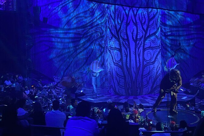 Cirque du Soleil JOYÀ in Vidanta Riviera Maya - Summary