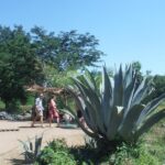 City and Country Side Tour with Luis - Brief Overview: What Makes the City and Country Side Tour with Luis Special