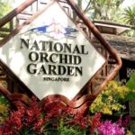 City Experience with National Orchid Garden + Roundtrip Transfers - FAQ