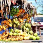 City Highlights Cycle Tour of Colombo - FAQs