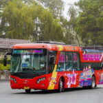 City Sightseeing Da Lat Hop-On Hop-Off Bus Tour - Who Would Appreciate This Tour?
