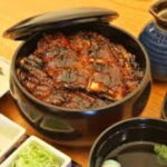 Classic Nagoya tour with private van - What Makes This Tour Stand Out?