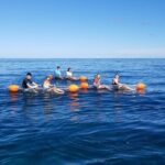 Clear Bottom Kayak - Guaranteed to see Turtles! - Final Thoughts