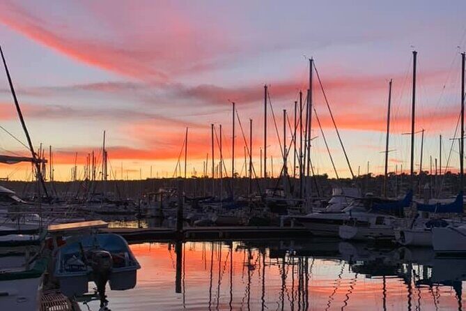 Clear Bottomed Kayak Rentals in San Diego - In-Depth Review of Clear Bottomed Kayak Rentals in San Diego