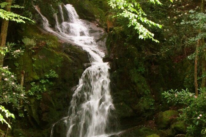 Clear Creek Falls Hike - FAQ