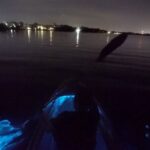 Clear Kayak Bioluminescence Tour - Who Will Love This Tour?