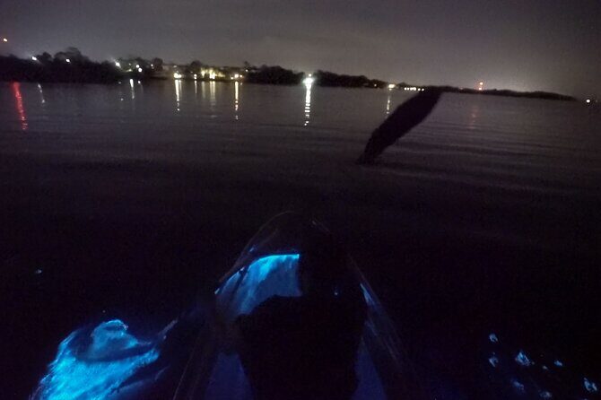 Clear Kayak Bioluminescence Tour - Who Will Love This Tour?