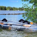 Clear Kayak Eco Tour in Jupiter, Florida - The Practical Aspects