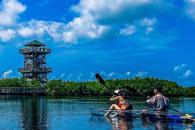 Clear Kayak Ecotour at Robinson Preserve in Bradenton, Florida - Summary