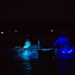 Clear Kayak Glow Tour Destin Ft. Walton Beach - Wildlife and Natural Highlights